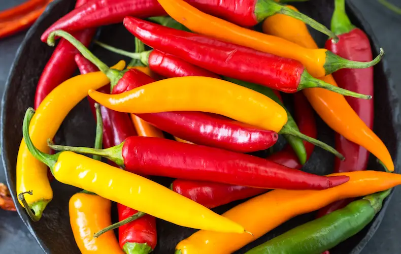 20211007 tm chilli pepper heatwave improved mixed 1