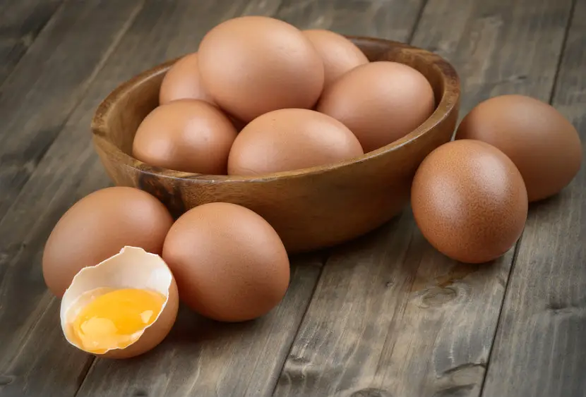 All About Eggs resized 1