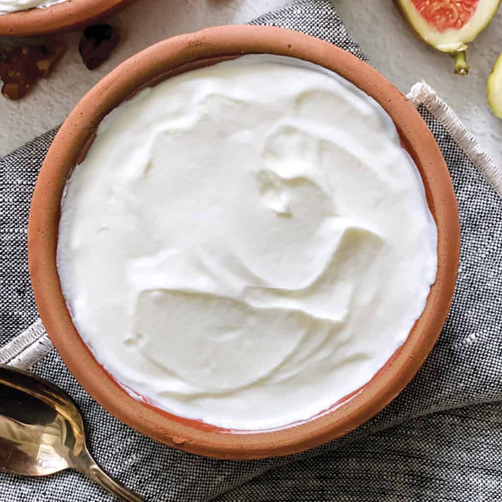 Comment faire du yaourt grec SQ 1024x1024 2