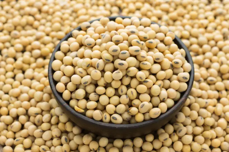 gmo soybeans 1551959025 4775211 1