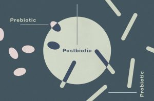 Postbiotika