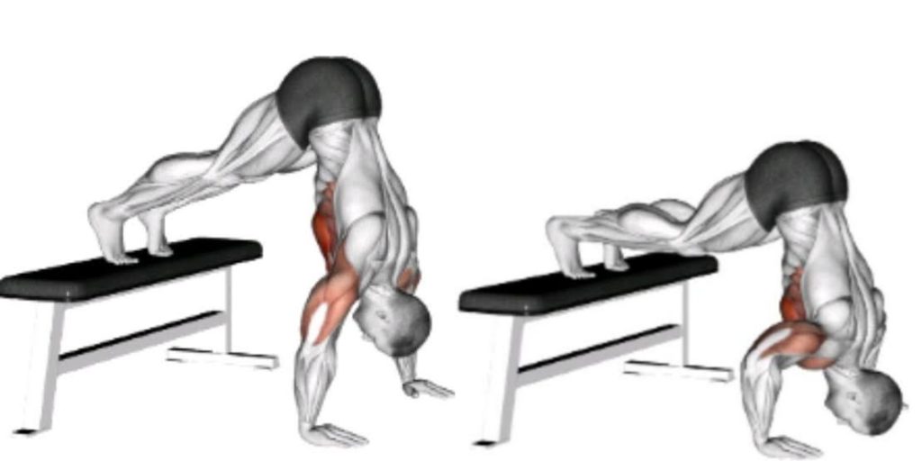 Elevated pike push up 1