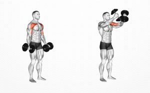 dumbbell shoulder fly muscles worked benefits tips
