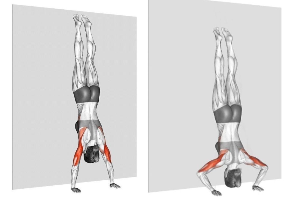 handstand wall push up1