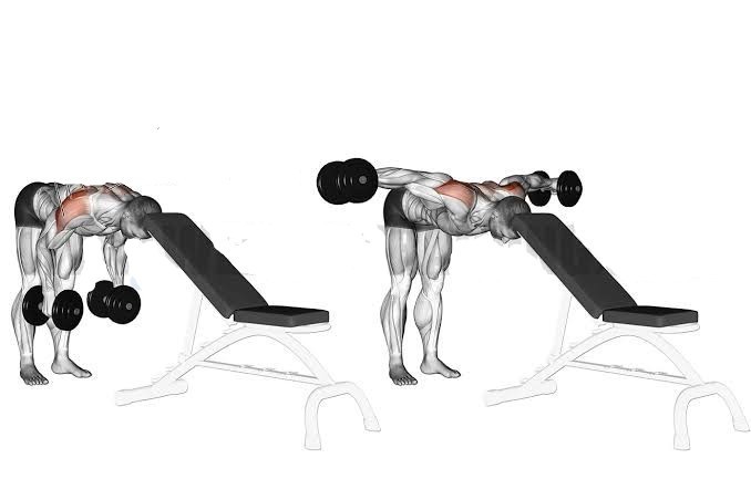 head supported rear dumbbell fly