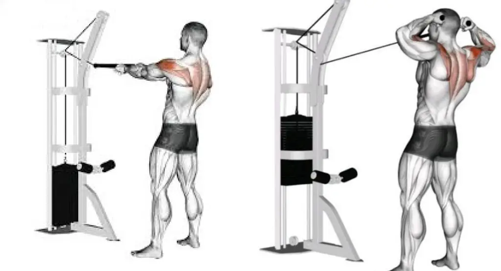 standing face pulls