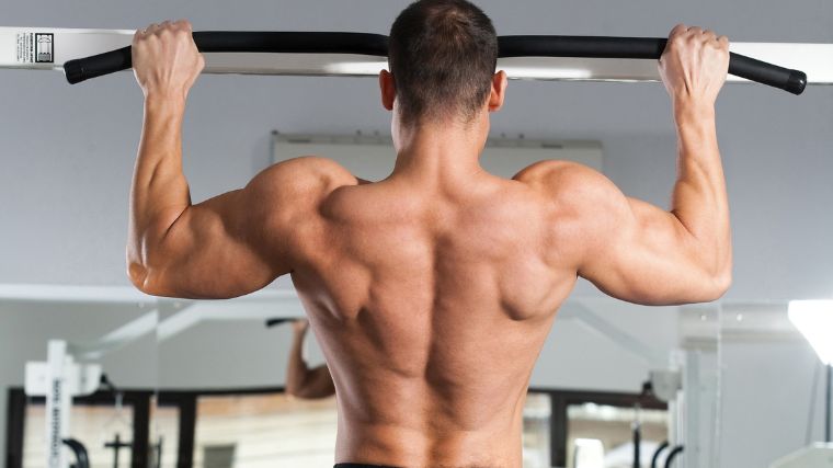 os 8 melhores exercícios de deltóide traseiro para ombros mais fortes e arredondados