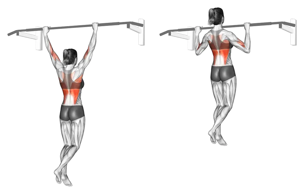 wide grip pull up muscles 1024x653 1